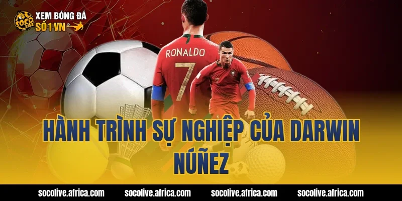Hành trình sự nghiệp của Darwin Núñez